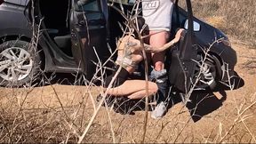 Up Your Skirt and Get in the Cock! Car-sex with Skinny-teen Madison Cumslut