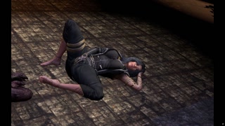 Expedition 33 Lune's Secret