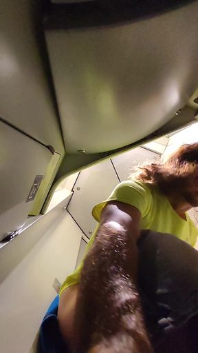 Public Masturbation on a Train