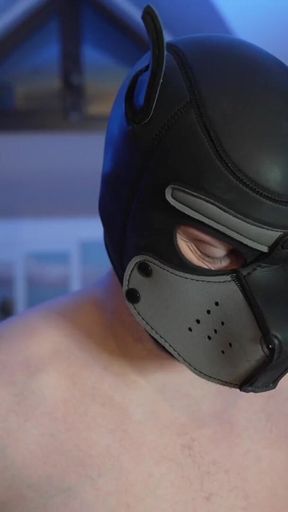 Cocksucker Cuckold in Chastity Pleasing Mistress