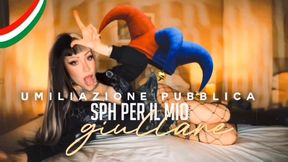 Umiliazione pubblica per il mio giullare ITA 720p