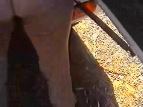 Svp 49 - Outdoors Holiday