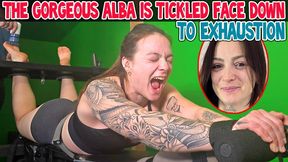 THE GORGEOUS ALBA IS TICKLED FACE DOWN TO EXHAUSTION - FULL HD MP4