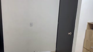 I masturbate with my stepsister's underwear and pour my semen into her panties.