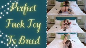 Perfect Fuck Toy To Breed (1080 MP4)