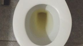 GOLDEN PEE IN MY TOILET PROFIT PERCENT SITTING