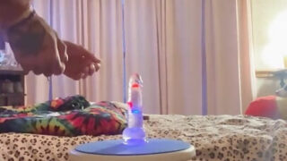 Filme solo de uma garota com um urso tatuado sendo fodido analmente com um vibrador dildo.