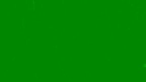 Adams Thomso Private Show