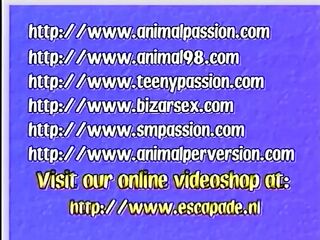 Choky likes to have his ramrod and eat it