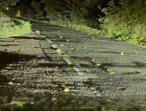 Naked in road and hiding the wrong side of road from safety when car passed