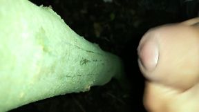 I Added My Cum on "cruising Cum Tree"