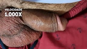 V&iacute_deo acelerado mostrando como o pau e o saco mudam de tamanho e se me sozinhos