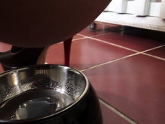 slaves have to drink pee of bowl