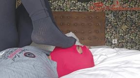 Worship My Amazing Arse And crotch HD