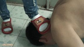Domination in the toilet YCTD12060402