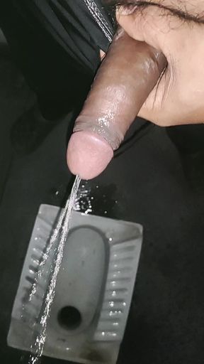 Pissing in the Toilet