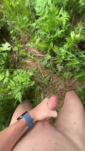 In the Forest.