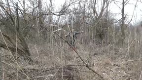 lose a boot in the forest