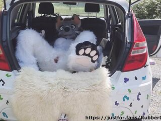Fluffy car with pleasure