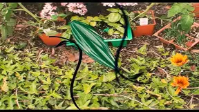 Garden Ho Jules Sterling Eats it All