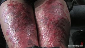 Bonus Update: Part 2 of the Nov Live Feed