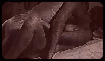 Retro MILF Seduction: Classic Blowjob & Doggystyle Frenzy