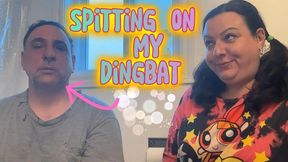 Bratty Femdom Goddess Humiliates Pathetic Loser - Spit & Phlegm Swallowing and Degradation