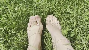 Toes in the grass
