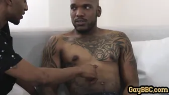 Big black cock stud barebacks two ebony guys in kinky threeway