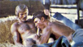 Bob Bishop and Barry express kinky feelings