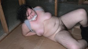 CAGED Part 3: Struggling in Storage