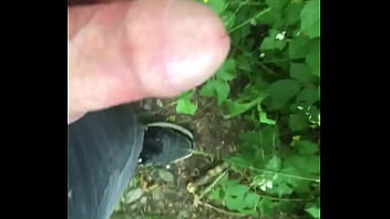 Excitation aux hortis