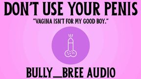 Don't Use Your Penis Audio