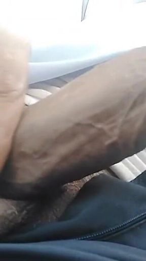 Strong Indian Cock