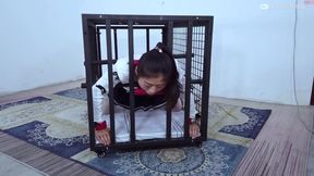 Chinese Bondage 1307