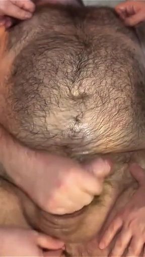 Hairy Bears 4 Handed Massage Cum