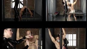 Spanking 73 wmv