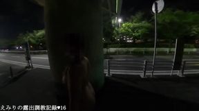 Amateur emiri struts her stuff at the bridge and exposes herself on the road.