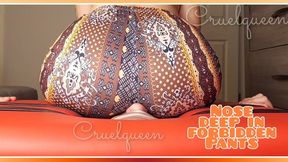 Nose deep in forbidden pants