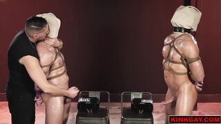 WoodxBound gives Phoenix and Rew a wild edging