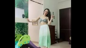 Vietnamese Butterfly