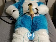 Murrsuiter milks himself