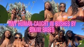 Tiny Human Caught Hiding in Bushes by Bikini Babes