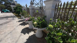 Wanita Asia cantik bertubuh sempurna dengan bokong besar menerima adegan anal creampie dari sudut pandang orang pertama dalam posisi cowgirl dan doggy style.