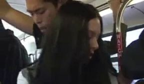 bus 240p