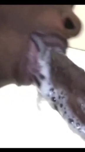 Jaw-dropping moment from &quot;Deepthroat cum in mouth compilation&quot;