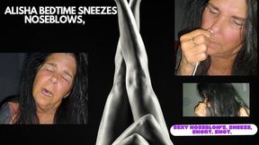 ALISHA "IT'S TIME FOR BED" AND I NEED TO CLEAR MY NOSE" THE SNEEZES, LOTS OF SNEEZES! NOSEBLOWS! WMV VERSION