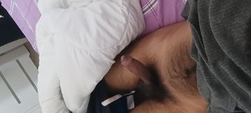 Dancing cock