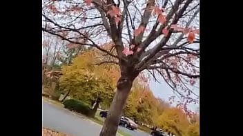 Cuming out for either June or October gay pride month about other gay looking and sounding things I did on social media once 13