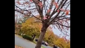 Cuming out for either June or October gay pride month about other gay looking and sounding things I did on social media once 13